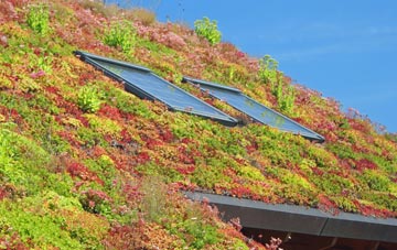 Milnquarter living roof systems