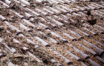 Milnquarter roof cleaning companies