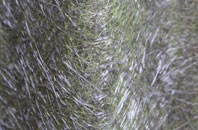 Milnquarter fibreglass roof work